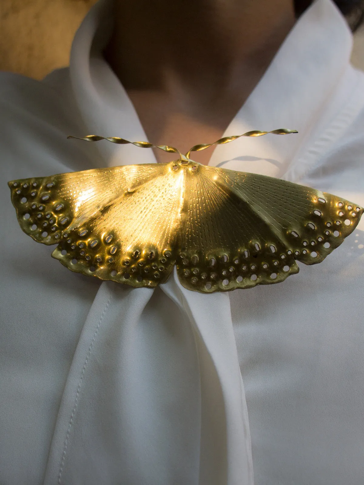 Golden Birdwing Moth Brooch cum Necklace